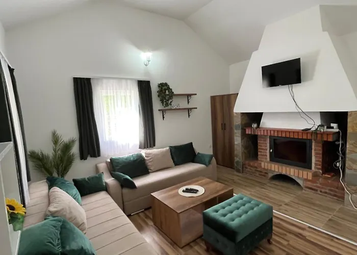 Vikendica Bellini 3 索科矿泉村